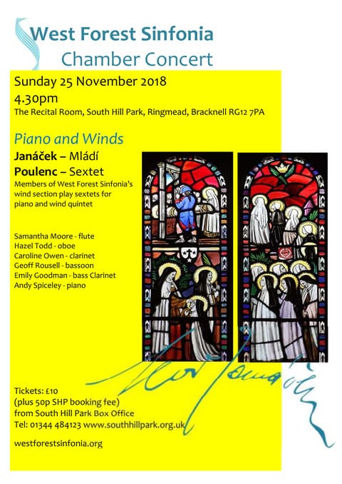 Flyer for concert on 2018-11-25