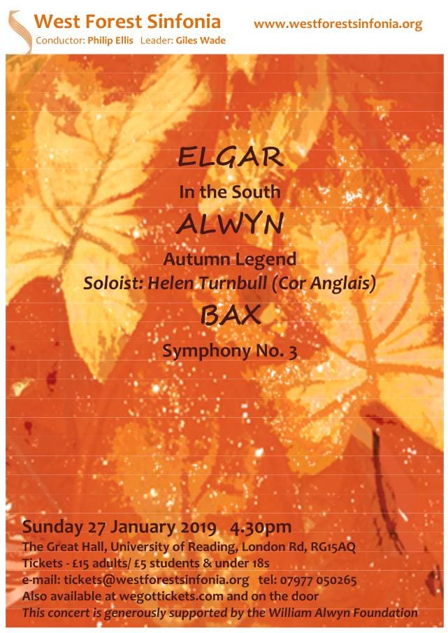 Flyer for concert on 2019-01-27